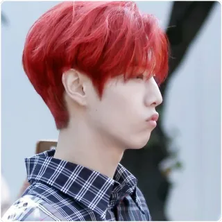 😚 kpop, idol, porträt, mann, rote haare, asiatisch telegram sticker