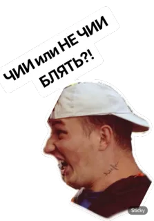 ⁉️ ЧИИ ИЛИ НЕ ЧИИ БЛЯТЬ?! telegram sticker