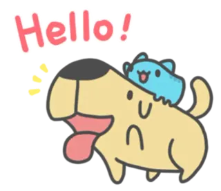 👋 Hello! salut, chien, chat, animaux, mignon, amical whatsapp sticker