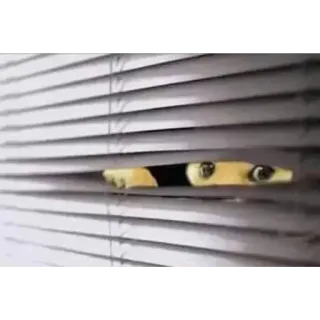 😏 Banana banana, peeking, blinds, looking, curious, watching, humor telegram sticker