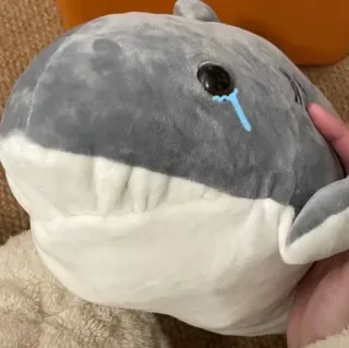 🐾 requin, peluche, peluche, jouet, pleurer, triste telegram sticker
