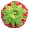 🍓