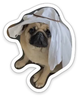 👳‍♂ dog, pug, arabian, middle east, costume telegram sticker