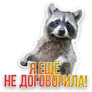🦡 Я ЕЩЁ
НЕ ДОГОВОРИЛА! raccoon, animal, cute, meme, sticker, text telegram sticker