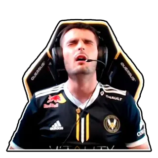 😖 gamer, esports, team vitality, computer games, electronic sports telegram sticker