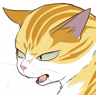 🐈 mèo, tức giận, động vật, màu cam, meme, phim hoạt hình telegram sticker
