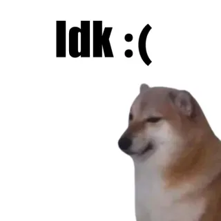 🎭 Idk :( 강아지, 밈, 몰라, 슬픔 telegram sticker