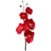💐