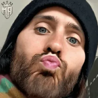 ⚜️ telegram sticker