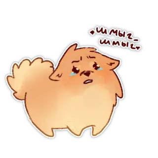 😢 Шмыг-Шмыг หมา, ร้องไห้, เศร้า, ปอมเมอเรเนียน, ลูกหมา telegram sticker