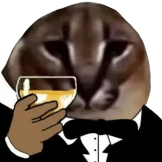 😎 cat, wine, tuxedo, floppa, drinking telegram sticker