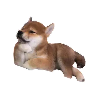 😊 собака, щенок, сиба-ину, милый, животное telegram sticker