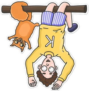 🙃 cartone animato, appeso, gatto, scoiattolo, giallo, sottosopra telegram sticker