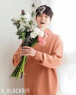 ✨ D_BLACKRIN mann, blumen, lächeln, koreanisch, pfirsichfarbener pullover telegram sticker