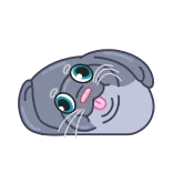 🤪 telegram sticker