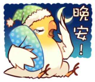 🌃 晚安! นก, นกแก้ว, ง่วง, กลางคืน, ราตรีสวัสดิ์, น่ารัก, หลับ telegram sticker