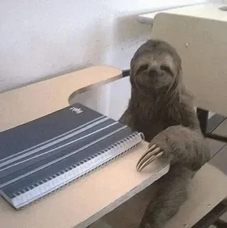 🦥 luiaard, dier, bureau, school, onderwijs, grappig, schattig telegram sticker