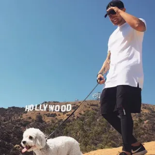 🐶 pria, anjing, papan Hollywood, luar ruangan, pariwisata telegram sticker