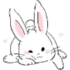 🐰