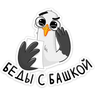 🚑 Беды с башкой bird, glasses, cartoon, funny, text telegram sticker