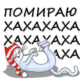 Magic Cat whatsapp stickers