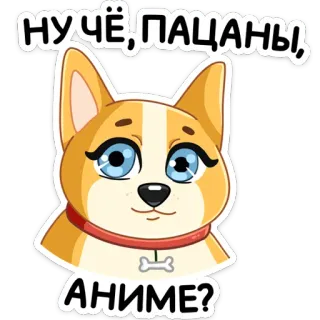 🥺 НУЧЁ, ПАЦАНЫ,
АНИМЕ? chien, corgi, animé, dessin animé, animal de compagnie, question whatsapp sticker