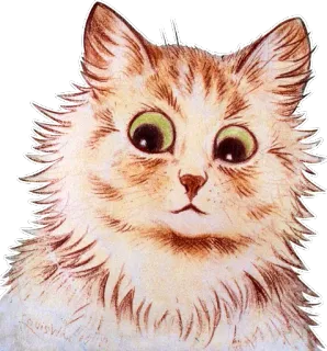 😯 chat, chaton, animal, animal de compagnie, mignon, poilu, chat domestique, félin telegram sticker