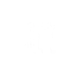 🔤