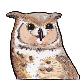 😊 owl, bird, animal, watercolor, illustration telegram sticker