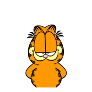 😊 Garfield gato, desenho animado, laranja, Garfield, quadrinho, engraçado, preguiçoso, humor whatsapp sticker