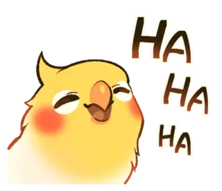 😀 HAHA oiseau, cockatiel, rire, joyeux, mignon, emoji, autocollant whatsapp sticker