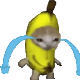 🐈 кот, банан, плачущий, мем, смешной telegram sticker