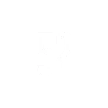 🔤