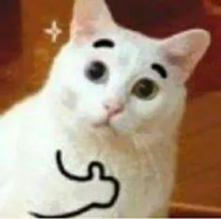 👍 cat, meme, offensive gesture, animal whatsapp sticker