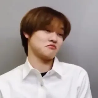 🤨 telegram sticker