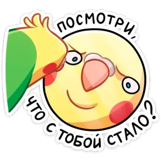 ☺️ посмотри, что с тобой стало? สติกเกอร์, นก, เศร้า, รัสเซีย, มอง, การ์ตูน, คำถาม telegram sticker