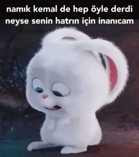 🤓 namık kemal de hep öyle derdi neyse senin hatrın için inanıcam 토끼, 슬픈, 귀여운, 동물, 토끼, 흰색 whatsapp sticker