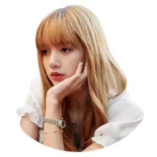 🤔 Lisa k팝, 가수, 리사, 블랙핑크, 음악, 연예인, 아이돌 telegram sticker