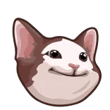 🐈⬛️