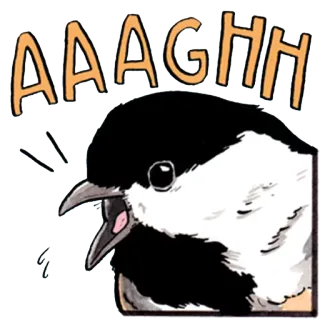 😫 AAAGHH bird, yelling, animal, cartoon, screaming telegram sticker