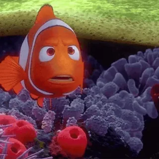 Finding Nemo @this_is_sticker_party telegram stickers