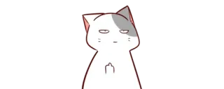 🖕 gato, dedo do meio, ofensivo, gesto, desenho animado, adesivo telegram sticker