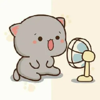🍓 kucing, penggemar, lucu, kartun, binatang, panas, musim panas whatsapp sticker