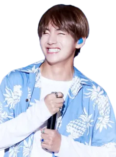 😸 V kpop, singer, bts, idol telegram sticker