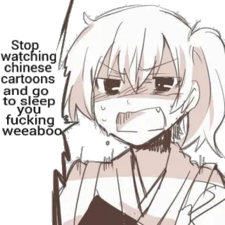 🛌 Stop watching chinese cartoons and go to sleep you fucking weeaboo Anime, Weeaboo, Desenho animado, Meme, Ofensivo whatsapp sticker