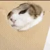 😳