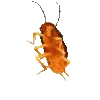 🕺