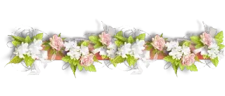 Flowers @stickersb2b whatsapp stickers