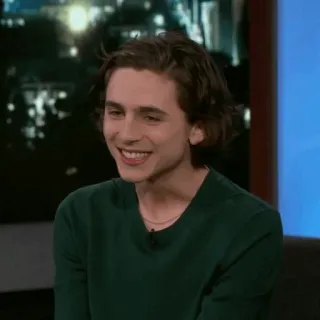 💎 Timothée Chalamet diễn viên, người nổi tiếng, chân dung, người đàn ông telegram sticker