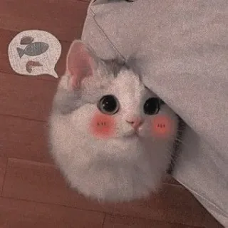🐱 gato, gatinho, fofo, animal, peixe, kawaii telegram sticker